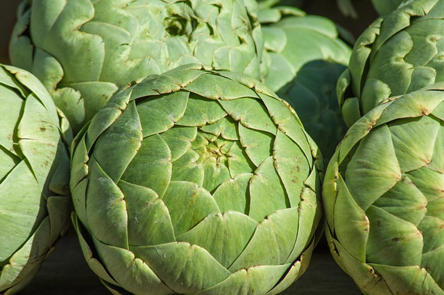 verduras de primavera