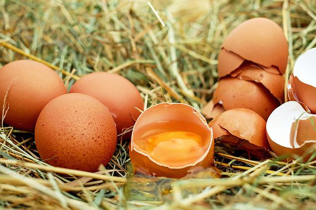 huevos camperos