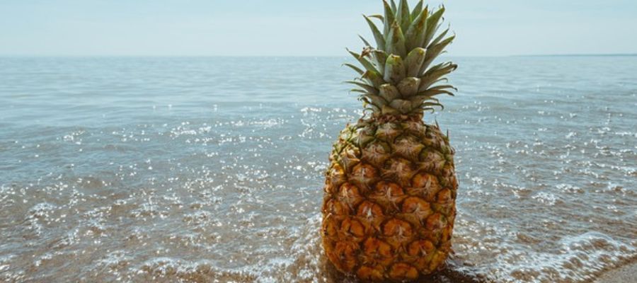 propiedades de la piña