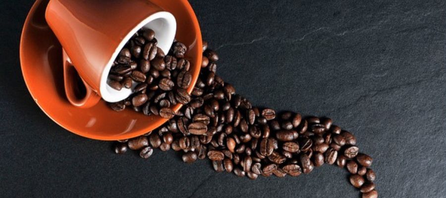 tipos de café