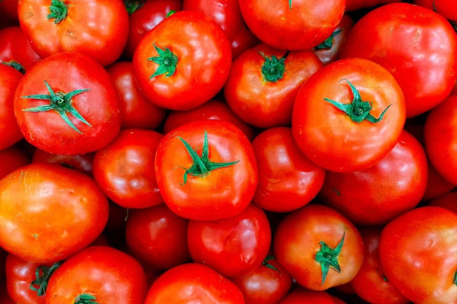 tomate fruta
