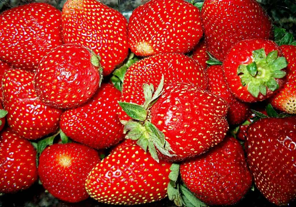 como conservar fresas